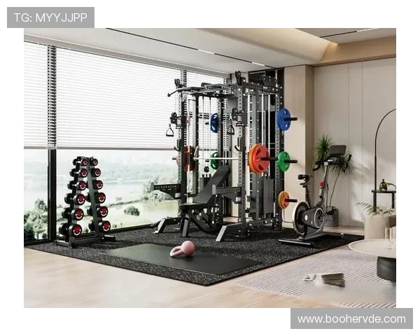 健身器材包含哪些设备?分类与功能详解 健身器材包含哪些设备?分类与功能详解