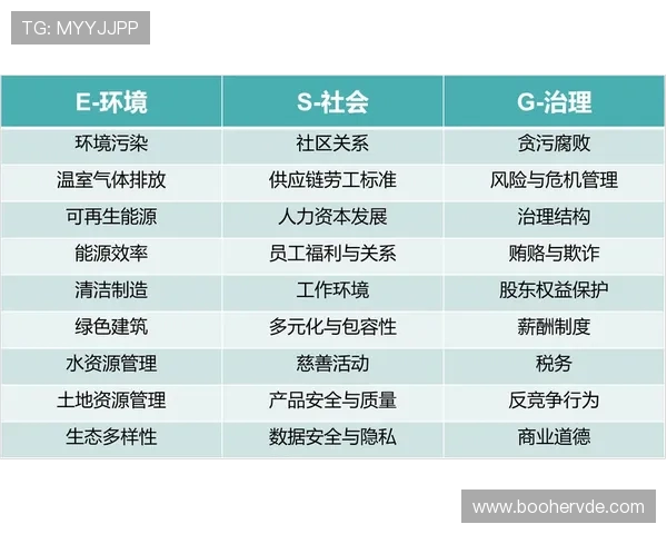 黑马崛起的底层逻辑:解析德甲非传统强队的破局路径与成功密码 黑马崛起的底层逻辑:解析德甲非传统强队的破局路径与成功密码