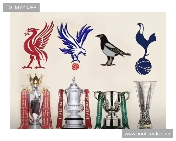 2019年英超各球队球衣赞助商与金额列表