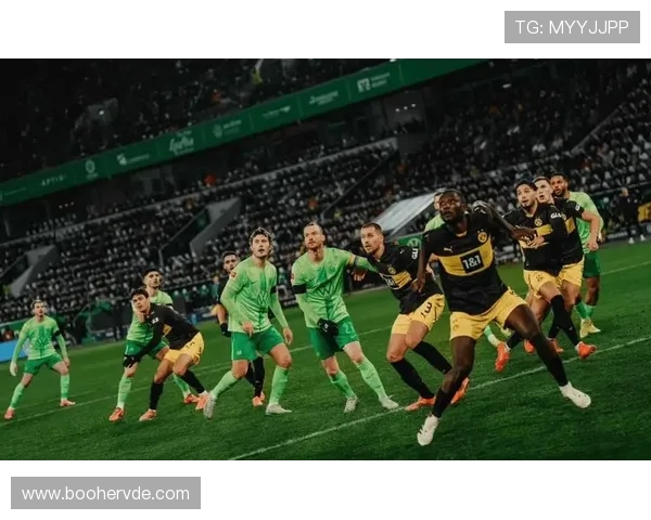 德甲处于保级区的球队及比赛回放